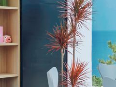 -海岛日记(养马岛店)