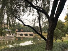 -顺峰山公园