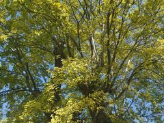 -武汉紫薇都市田园