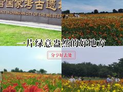 -汉长安城未央宫国家考古遗址公园