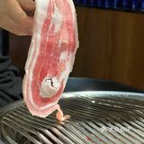 除了奋斗，啥都不如烤肉
