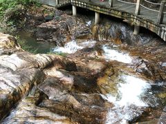 -九龙江国家森林公园