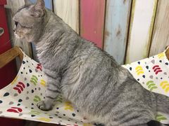 -小时光咖啡馆(开森度假森林店)