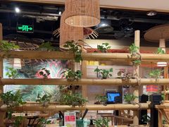 -椰夫人·养生椰子鸡(金沙洲永旺店)