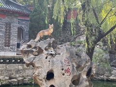 -淄博聊斋城景区