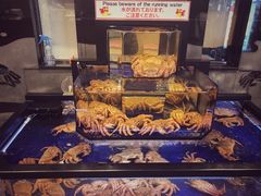 -蟹道乐(道顿堀本店)