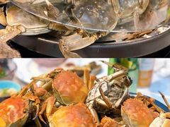 -半岛听涛蒸汽海鲜自助(K11店)