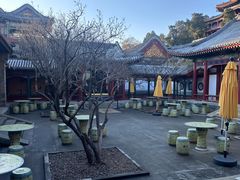 -宫事颐庭·老佛爷贵寿下午茶(颐和园店)