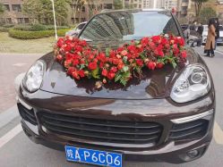 -蚂蚁婚车