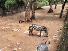-昆明动物园