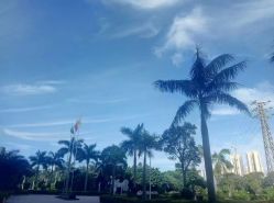 点击看大图 -珠海市妇幼保健院(柠溪院区)
