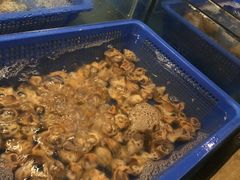 -深圳湾万怡酒店