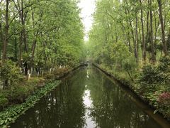 -合肥滨湖国家森林公园