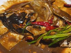 -旺顺阁鱼头泡饼(常营店)
