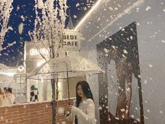 -Blue Concept Cafe&Farm·關於藍