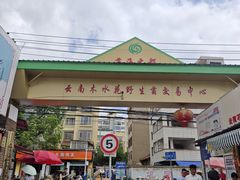 -云南木水花野生菌交易中心