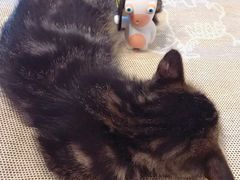 -平行世界·猫咖(首经贸店)
