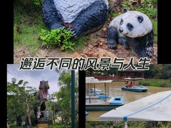 -清境桃源