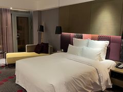 -南京禄口机场雅高铂尔曼大酒店