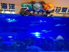 -成都浩海立方海洋公园