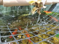 -炙韩料理·部队锅专门店