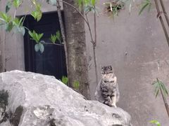 -无锡梅园公园