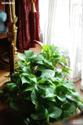 -TIME SPA科技美肤机构