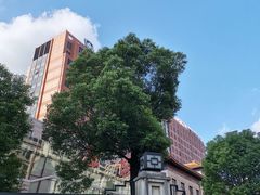 -复旦大学附属中山医院(西院区)
