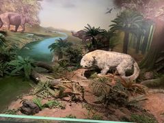 -湖南省地质博物馆