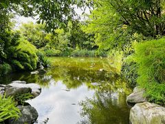 -崇圣寺三塔文化旅游区