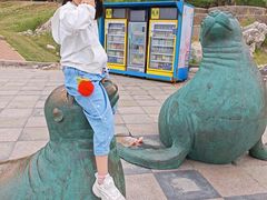 -养马岛旅游度假区