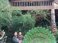 -呀路古热带植物园