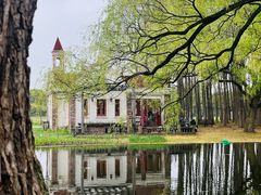 -上海共青森林公园