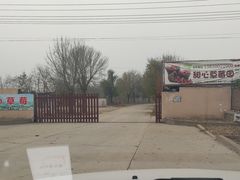 -甜心庄园·甜心草莓采摘园(西青中北店)