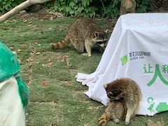 -宁波野生动物园