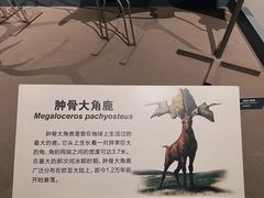 -大庆市博物馆