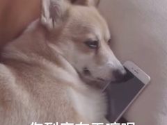 -千浔一暖DIY蛋糕烘焙(人民大学店)
