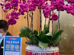 -南京维景国际大酒店(南京博物院店)