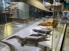 -泉城欧乐堡海洋极地世界