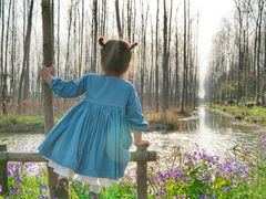 -合肥滨湖国家森林公园