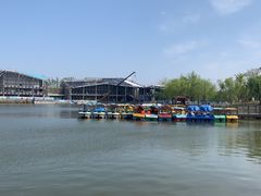 -上海长兴岛郊野公园