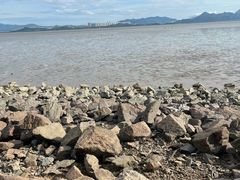 -深圳湾公园(南山区)