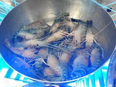 -大汉金桥华美达广场酒店·食秀全日制餐厅