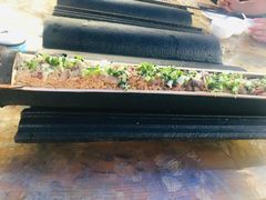 -竹泉农庄·竹筒饭(从化店)
