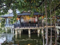 -侨美·唐荔园·40年地道粤菜