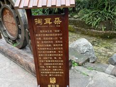 -黄龙溪古镇