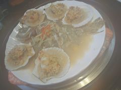 珊瑚鱼-睿柏云酒店-餐厅