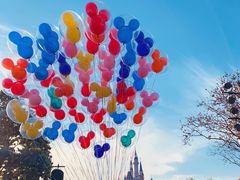 -上海迪士尼度假区