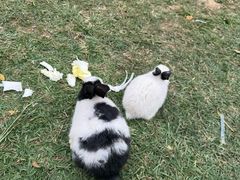 -盈香心动乐园