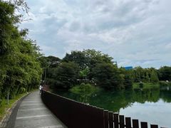 -王借岗森林公园